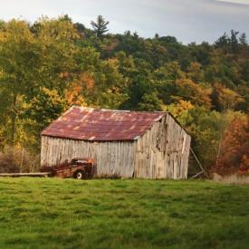 MaxSold Auction: This online auction features Small fallen barn approximately 20x40 feet. Barn boards, beams and roof tin.