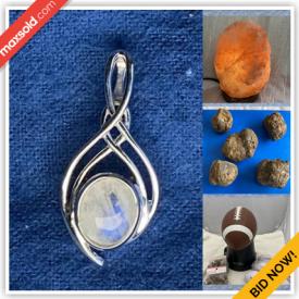 MaxSold Auction: This online auction features minerals, stones, and fossils such as raw crystal quartz, arrowheads, geodes, thundereggs, chalcedony, amethyst, petrified wood, fossilized shark teeth, and orthoceras fossil, jewelry such as mother of pearl pendants, stone cameos, earrings, semi-precious stone necklaces, rings, and bracelets and much more!