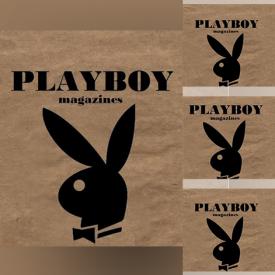 MaxSold Auction: This online auction features collection of playboy posters.