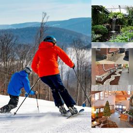 MaxSold Auction: This online auction features vacation packages, lift tickets, restaurant gift cards, office workstations, butterfly conservatory passes, social media management, handyman services, hair salon gift certificates, law services, beauty product certificates, tattoo services, fitness membership, art print, vintage office equipment, mini stereo, and more!